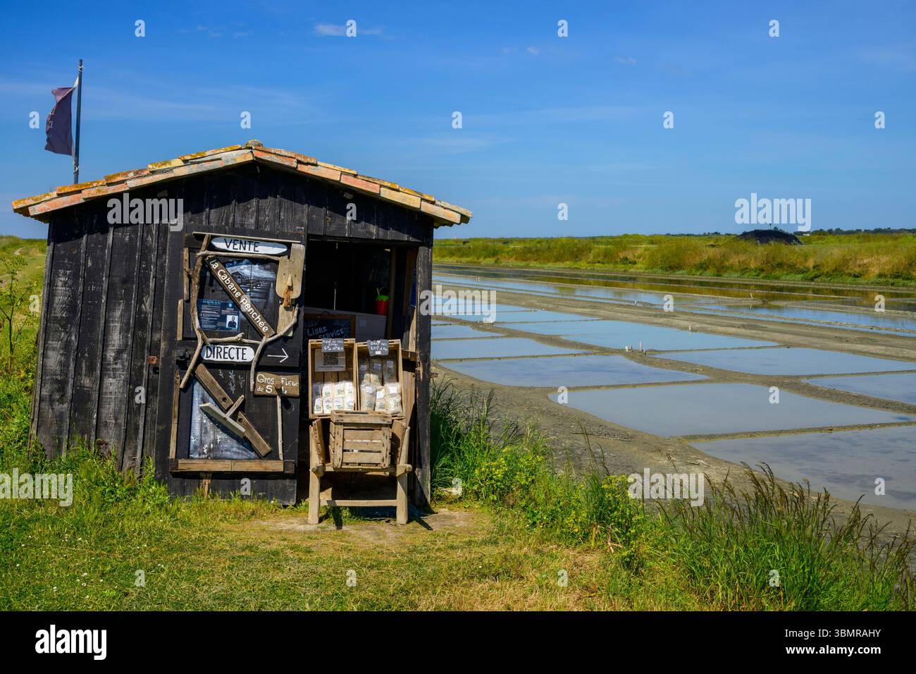 Salzproduktion auf der Île de Ré, Charente-Maritime, Frankreich Stockfoto