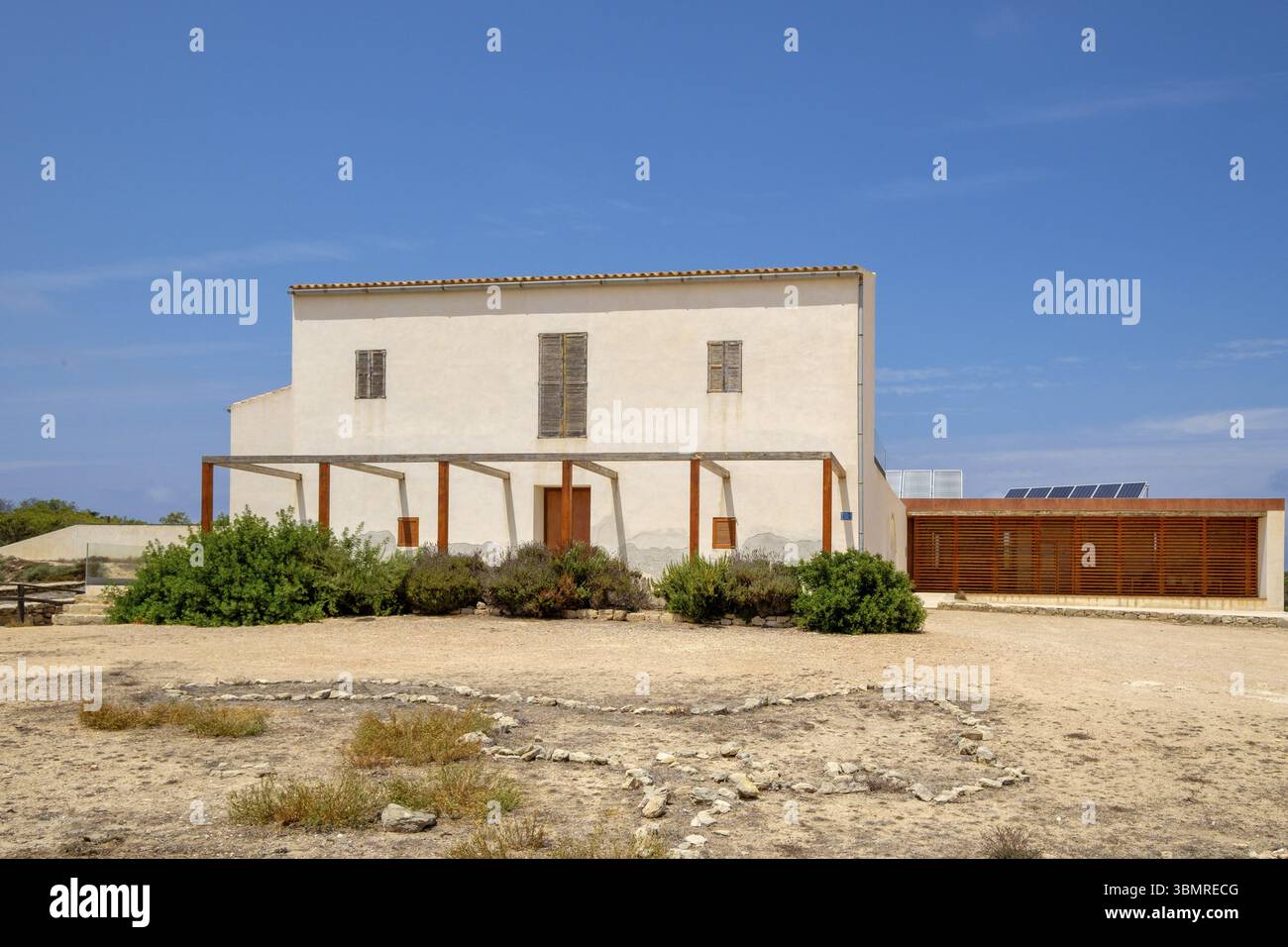 Feigenbaumfeld, Sant Francesc Xavier, Formentera, Balearen, Spanien Finca de Can Marroig, Interpretationszentrum des Naturparks SES Salines Stockfoto