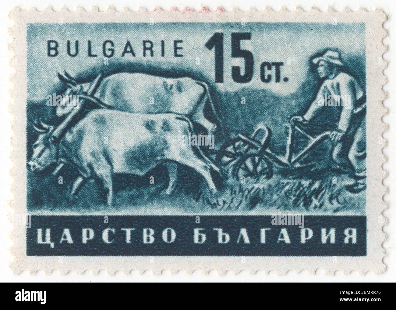 BULGARIEN — 5. Dezember 1941: 15 stotinki preußische blaue Briefmarke mit der Darstellung des Bauern auf einem Feld. Pflügen mit Ochsen (Bullock), landwirtschaftliche Propaganda. Ein Ochse, auch bekannt als Ochse, ist ein männlicher Rinder, der als Zugtier ausgebildet und verwendet wird. Ochsen sind häufig kastrierte, ausgewachsene männliche Rinder; Kastration hemmt Testosteron und Aggression, wodurch die männlichen Tiere fügsamer und sicherer in der Arbeit sind. Ochsen werden zum Pflügen, zum Transport, zum Dreschen von Getreide durch Trampling und zum Antrieb von Maschinen verwendet, die unter anderem Getreide mahlen oder Bewässerung liefern Stockfoto