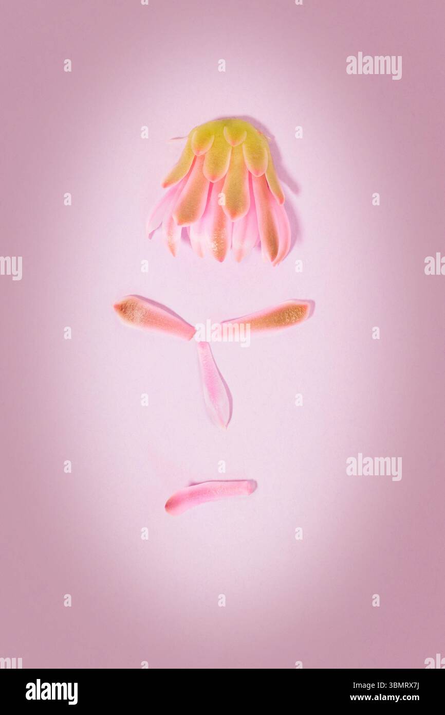 Wunderschönes, wütendes Porträt mit Blumenblättern, schwierige Beziehung Stockfoto