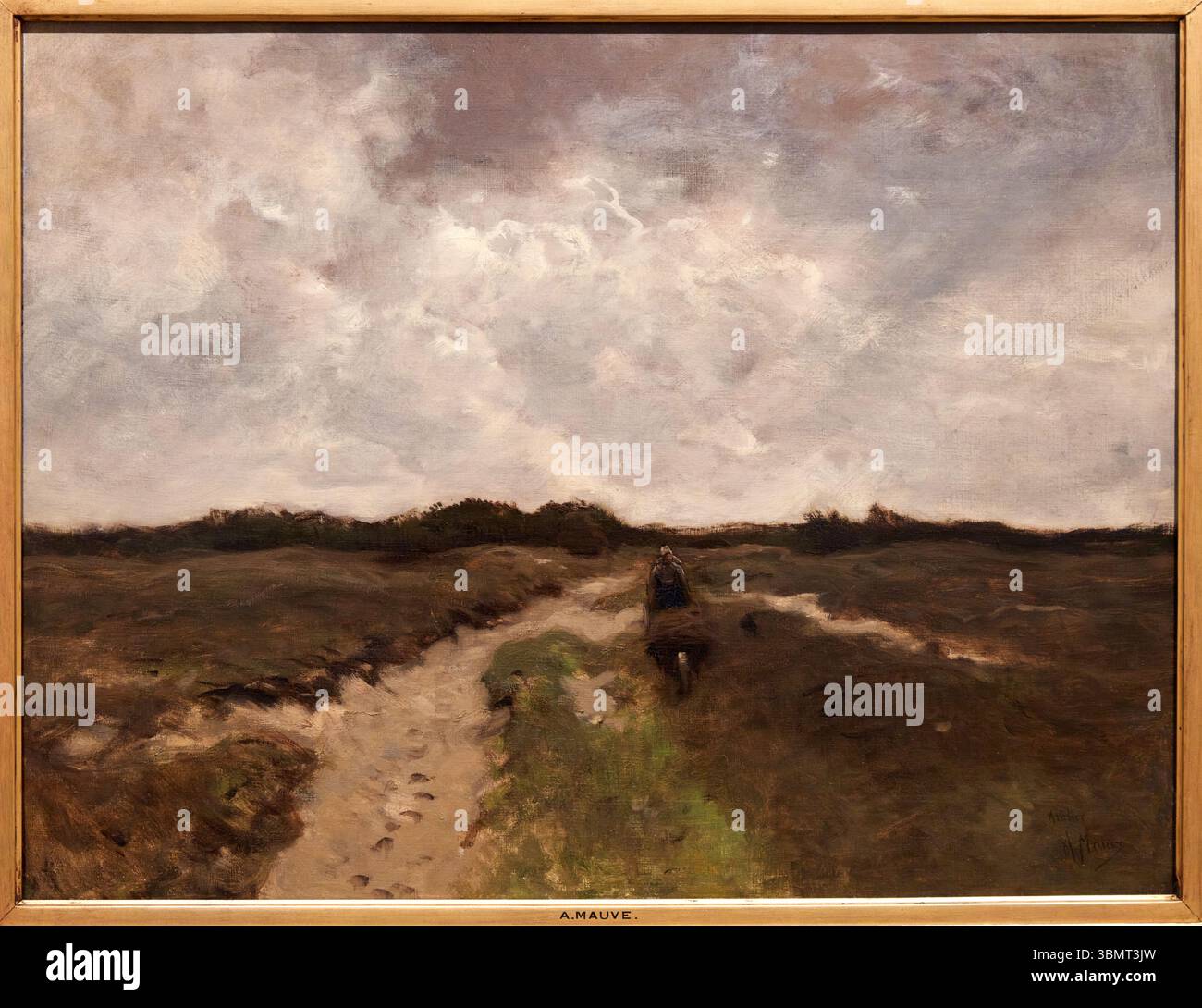 Kreuzung der Heide, 1885-1888, Anton Mauve (1838-1888), Thyssen Bornemisza Museum, Madrid, Spanien Stockfoto