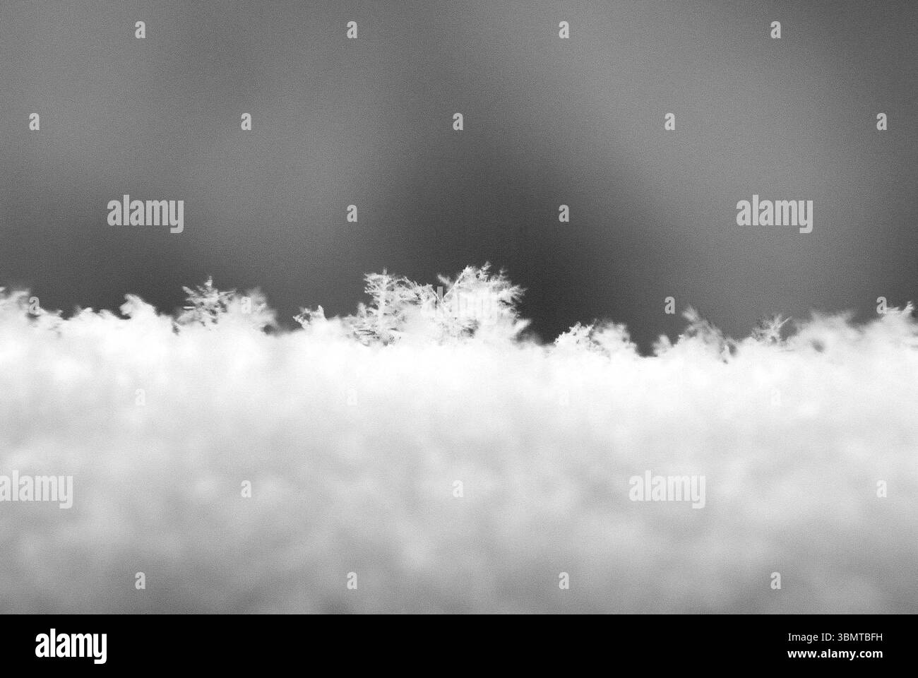 Ein abstraktes Schwarzweiß-Makrofoto von echten Schneeflocken und Eiskristallen auf einer Schneedecke. Stockfoto