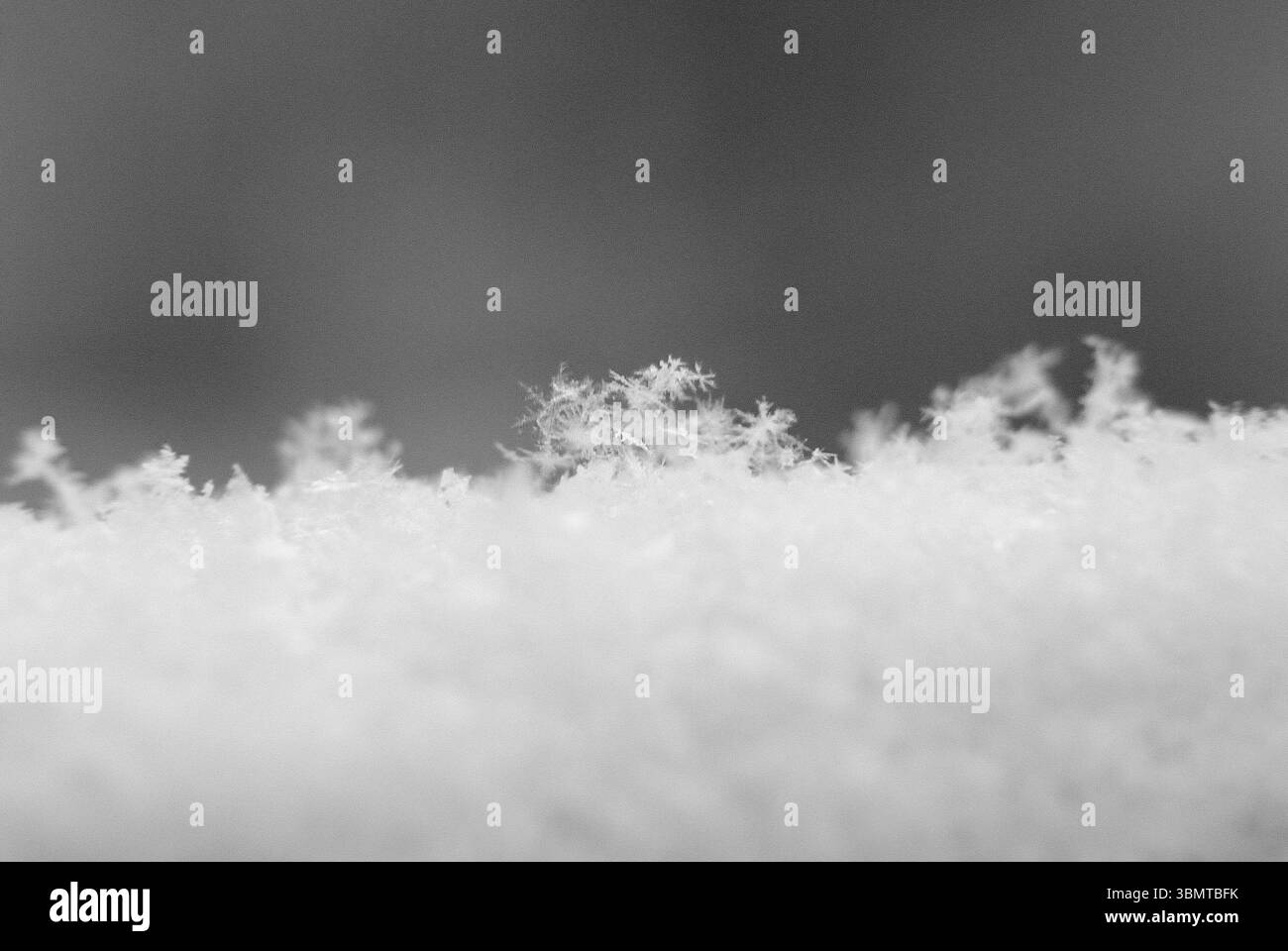 Ein abstraktes Schwarzweiß-Makrofoto von echten Schneeflocken und Eiskristallen auf einer Schneedecke. Stockfoto