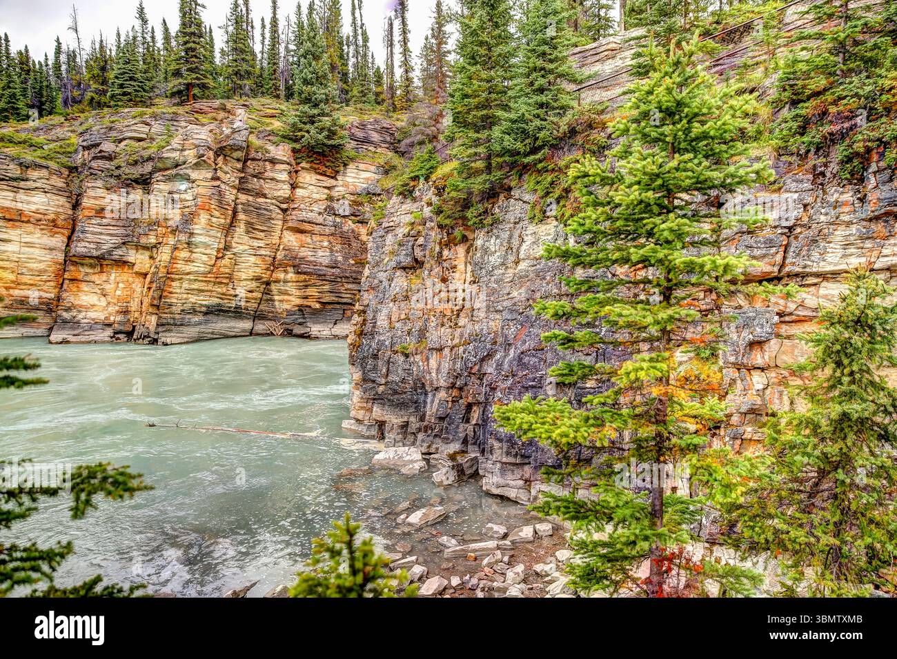 Athabasca Falls in den Kanadischen Rocky Mountains in Alberta Stockfoto