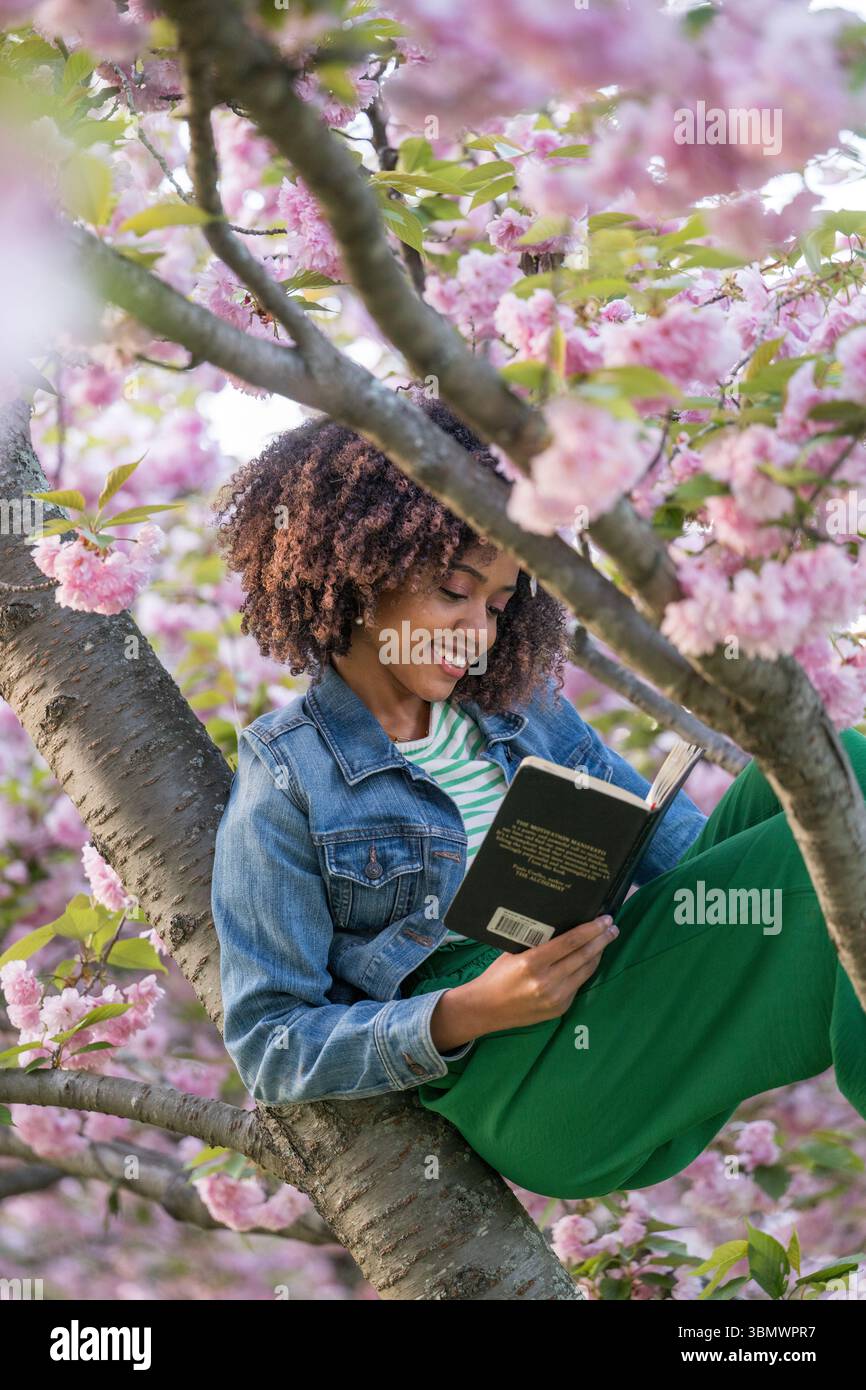 Eine junge Afroamerikanerin mit natürlich lockigen Haaren liest ein Buch in einem Kirschbaum. Stockfoto