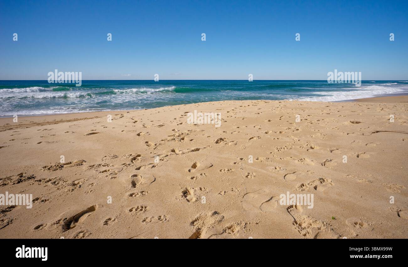 Eine beliebte Strandszene. Viele Fußspuren im Sand, wo Menschen und Hunde waren. Stockfoto