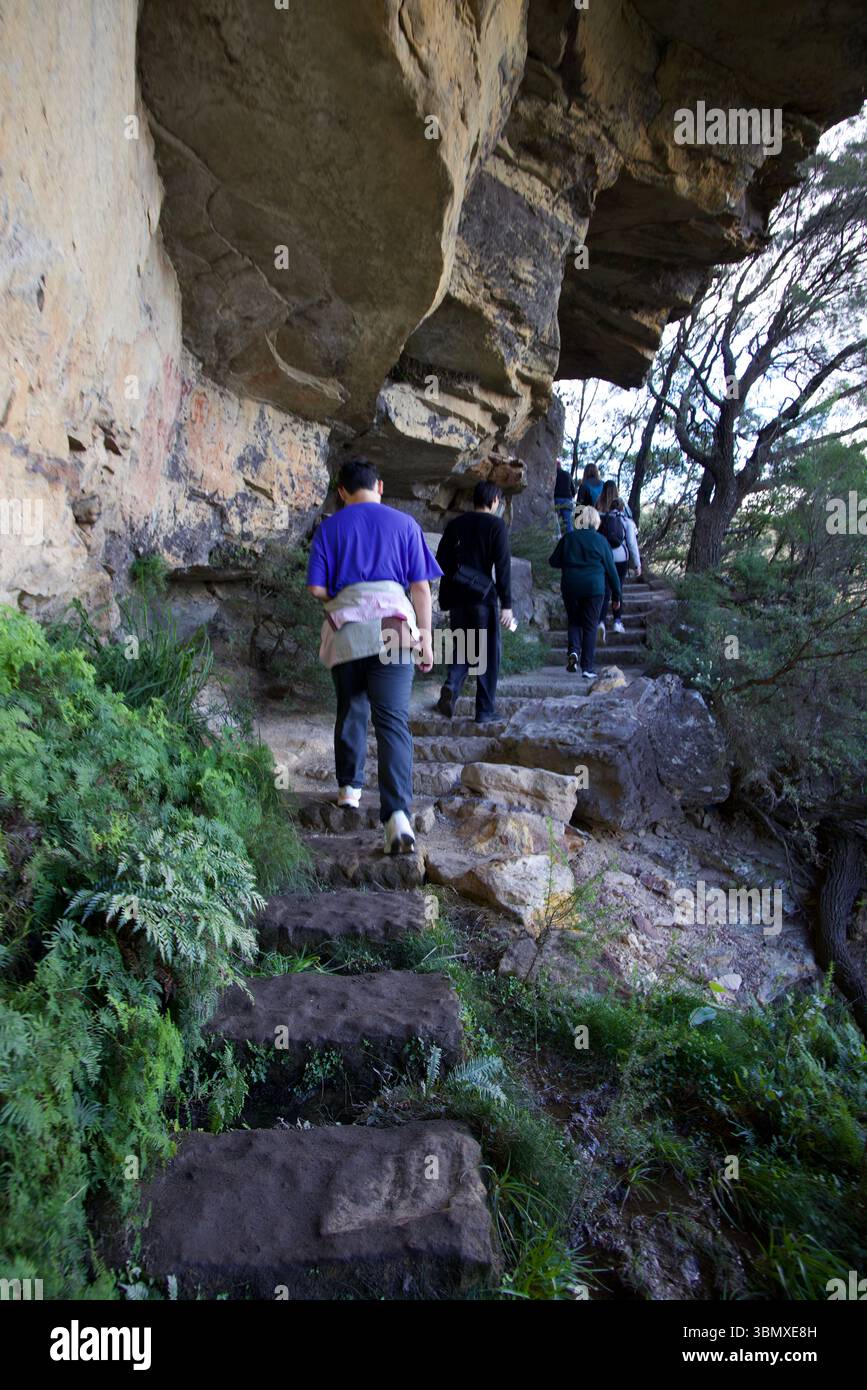 Sydney Harbour Views, Blue Mountains Wildnis und Melbourne City Lichter im Juni 2025. Stockfoto