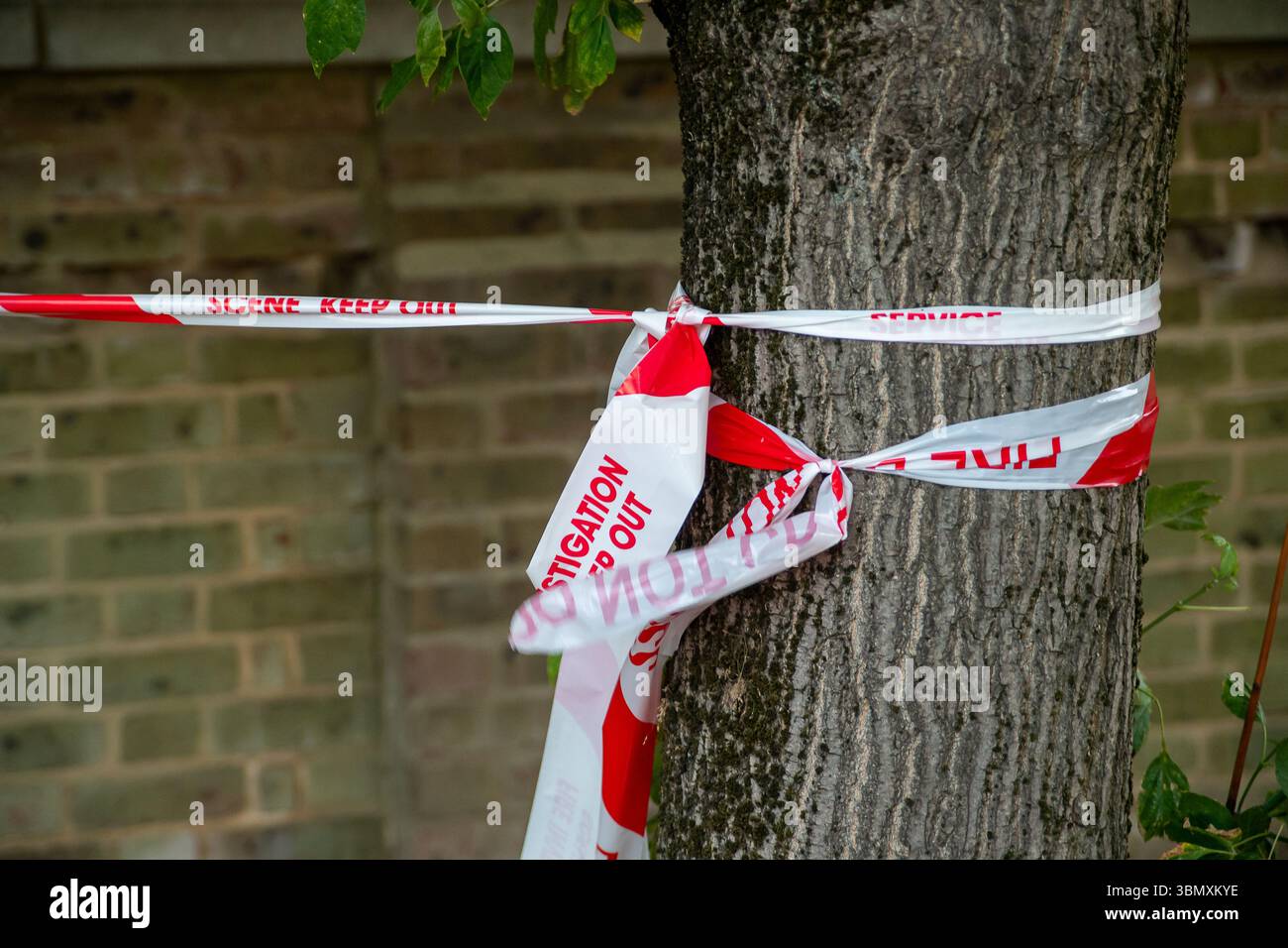 Slough, Großbritannien. Juni 2025. Der Rettungsdienst reagierte heute Nachmittag um 15.30 Uhr auf einen Brand in der Wohnung im obersten Stockwerk in Aspect Court, Slough, Berkshire, an der Ecke Windsor Road und Aspect Court. Der Royal Berkshire Fire and Rescue Service schickte Besatzungen aus Ascot, Bracknell, Slough, Langley, Maidenhead und Windsor zusammen mit der Incident Command Unit von der Maidenhead Fire Station und der Aerial Leiterplattform von der Whitley Wood Fire Station. Der South Central Ambulance Service schickte dem Vernehmen nach eine Reihe von Ressourcen an den Tatort, darunter ein Einsatzteam für Gefahrenbereiche. Es wird verstanden, dass eine Person Stockfoto