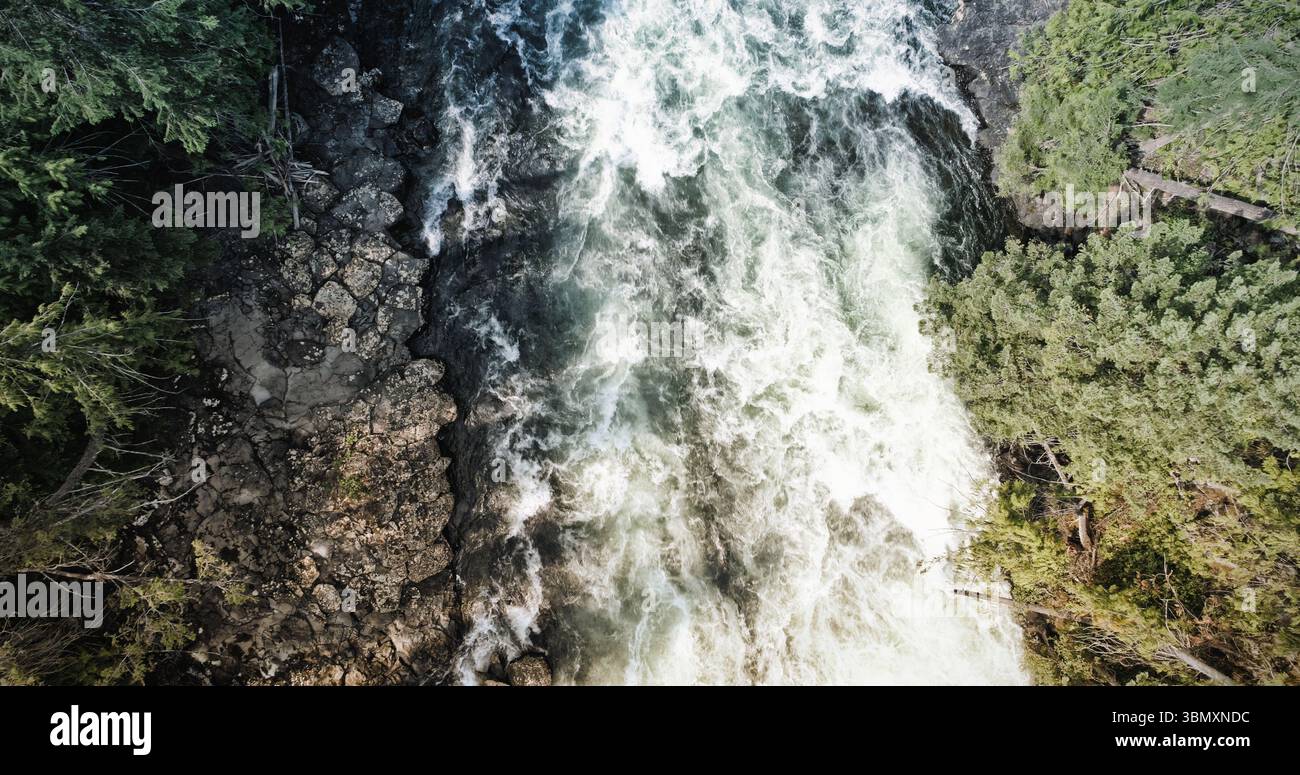 Das flache Design zeigt Wildwasserstromschnellen, die durch einen felsigen Kanal unter Nadelbäumen in der Luftaufnahme rauschen Stockfoto Das flache Design zeigt Wildwasserstromschnellen, die durch einen felsigen Kanal unter Nadelbäumen in der Luftaufnahme rauschen Stockfoto