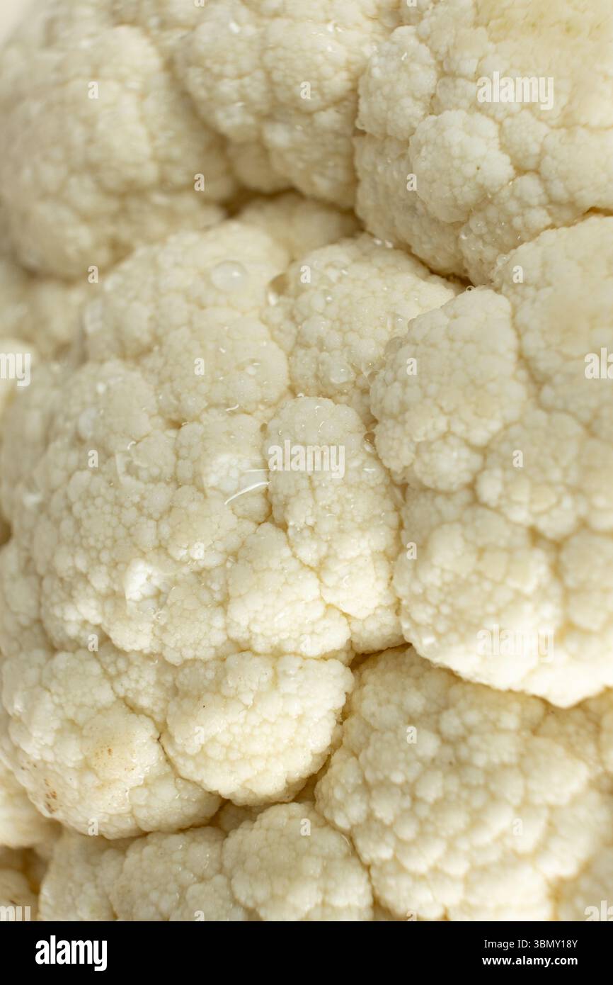 Makrotextur der Blumenkohloberfläche mit Wassertröpfchen. Stockfoto