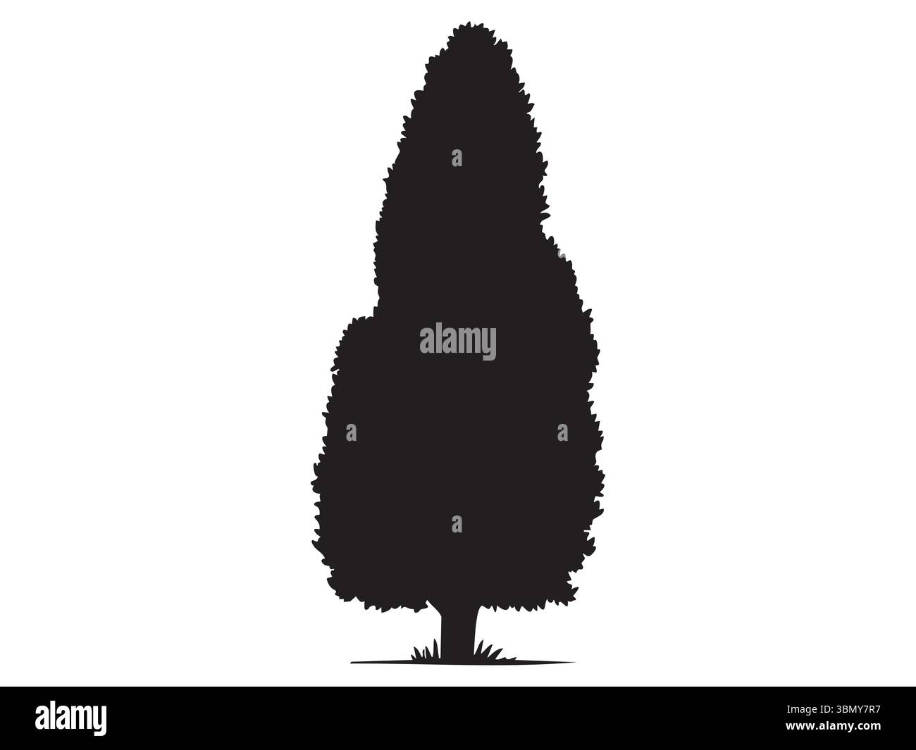 Silhouette eines Zypressenbaums mit dichtem Laub isoliert auf weißem Hintergrund, grafische Illustration. Konzept der Nadelbäume, Naturelement, Landschaftsgestaltung Stock Vektor