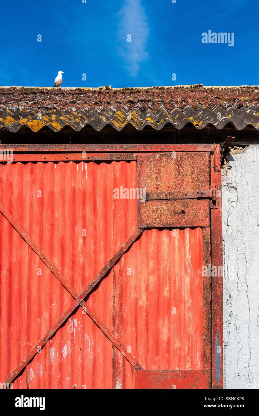 Alte, rostrote Metalltür und verwittertes Fabrikdach vor blauem Himmel. Einsame Möwe auf dem Dach. Abstrakt. Texturen. Kontraste. Stockfoto