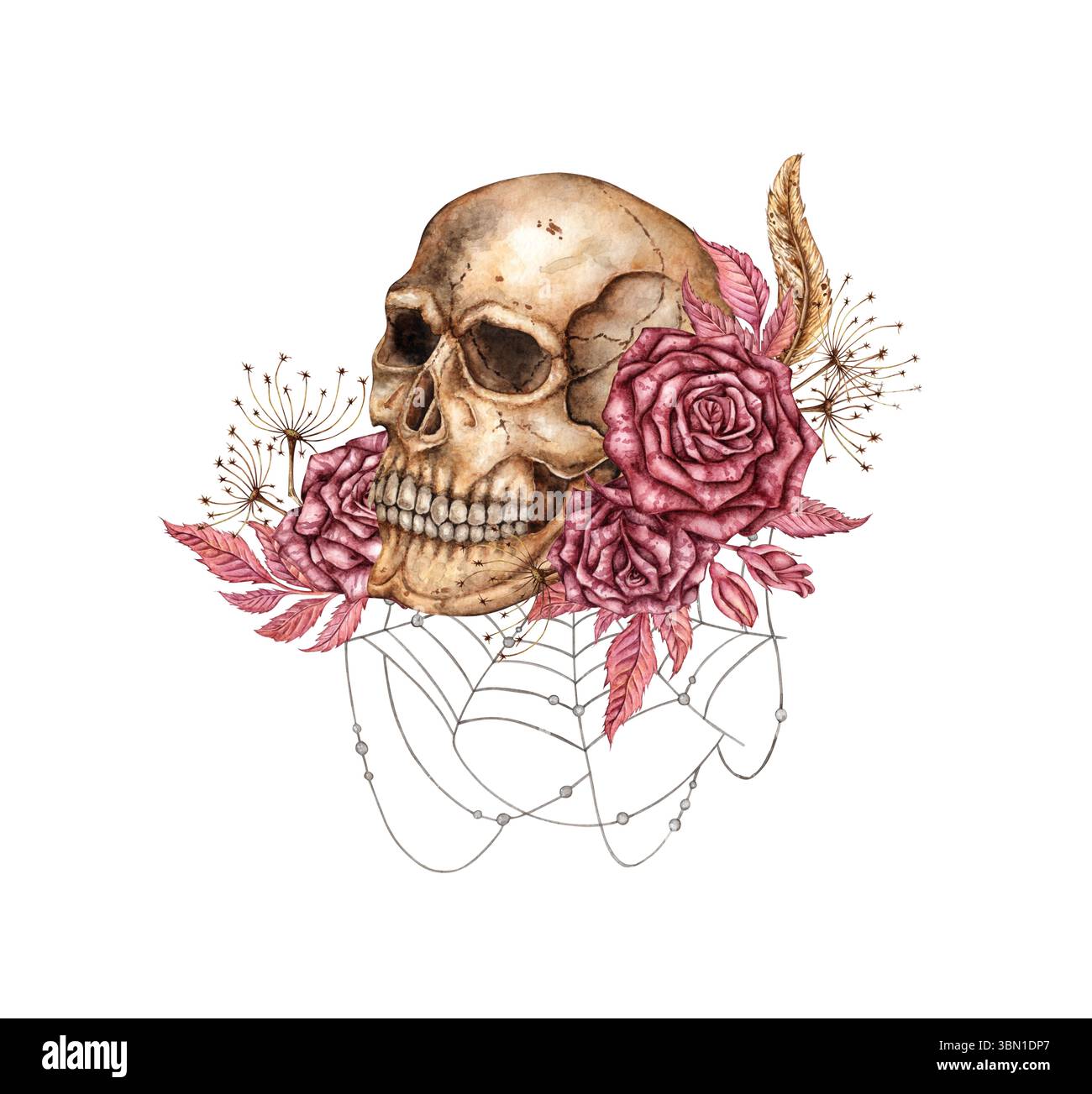 Schädelprofil mit dunkelroten Rosen, Knospen und Spinnennetz-Aquarellillustration. Knochen im gotischen Stil. Tag der Toten, Halloween, Dia de los muertos. Stockfoto