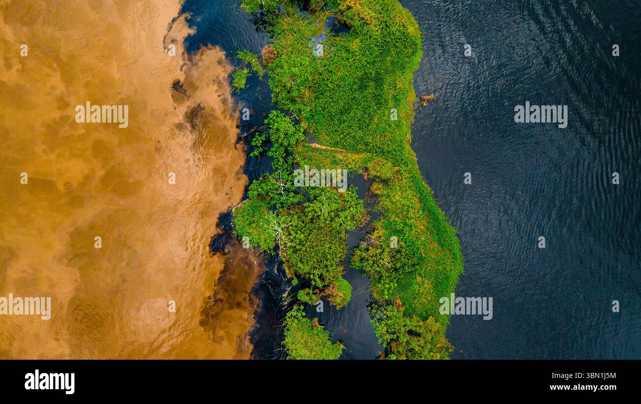 Atemberaubende Luftaufnahme einer üppig grünen Insel inmitten des dunklen Wassers des Amazonas, die die Schönheit der Artenvielfalt Kolumbiens zeigt. Stockfoto