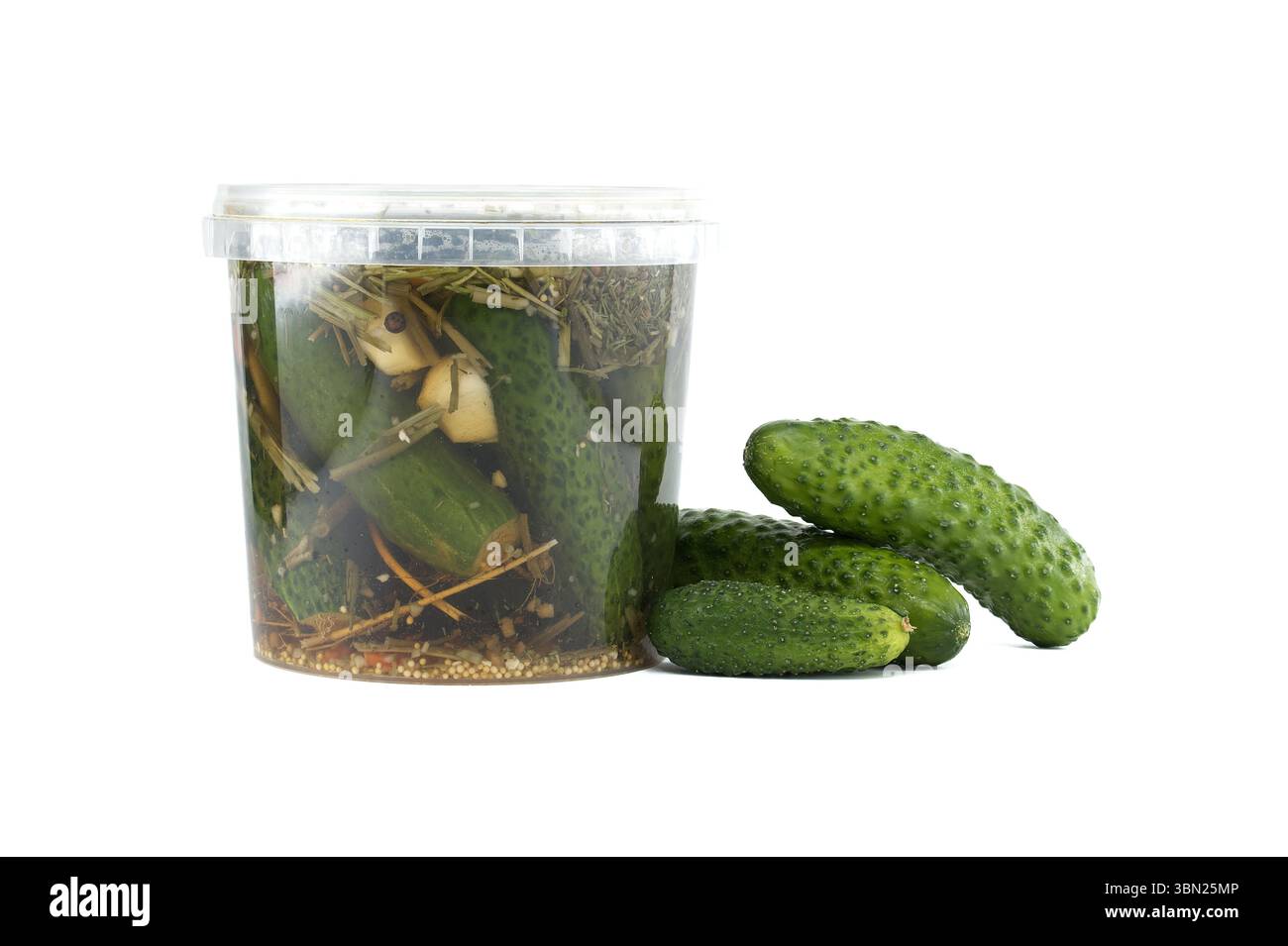 Eingelegte Gurken in einem transparenten Plastikglas mit frischen Kräutern und Gewürzen, zusammen mit rohen Gurken, dargestellt auf einem stark weißen Hintergrund, Betonung Stockfoto