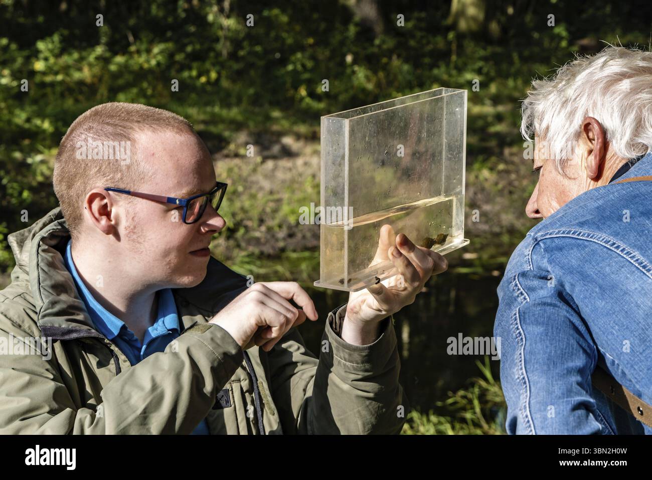 Roermond, Niederlande - 7. Oktober 2021: Niederländische Studenten forschen in diesem Bereich. Auf der Suche nach kleinen Tieren im Wasser Stockfoto