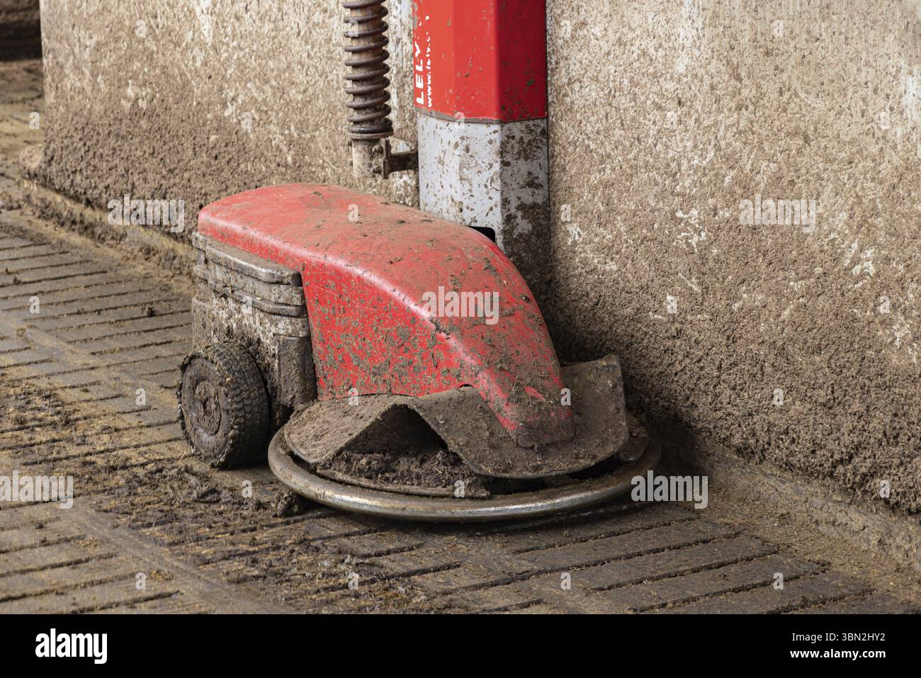 Düngerroboter in der modernen Dariy Farm in Nordsevonien in Finnland Stockfoto