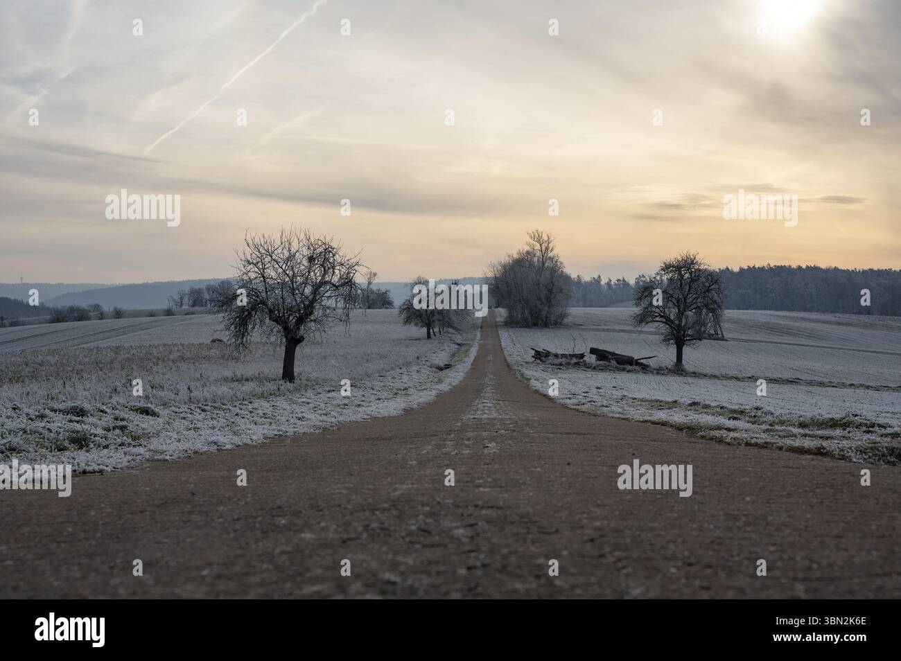 Eisige Landschaft am frühen Morgen mit einer kleinen Landstraße Stockfoto