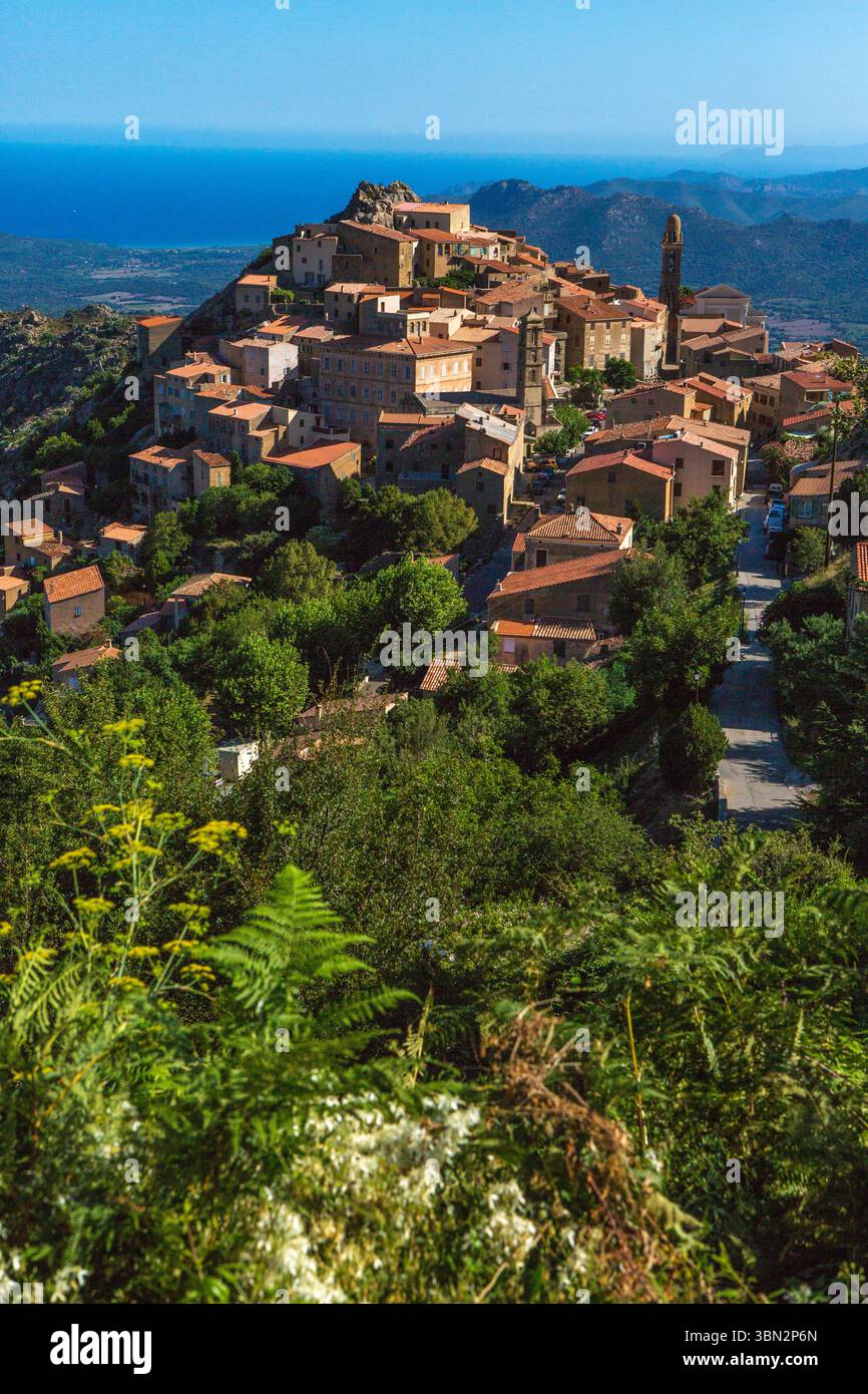 FRANKREICH. HAUTE-CORSE (2B) REGION BALAGNE. SPELONCATO DORF Stockfoto