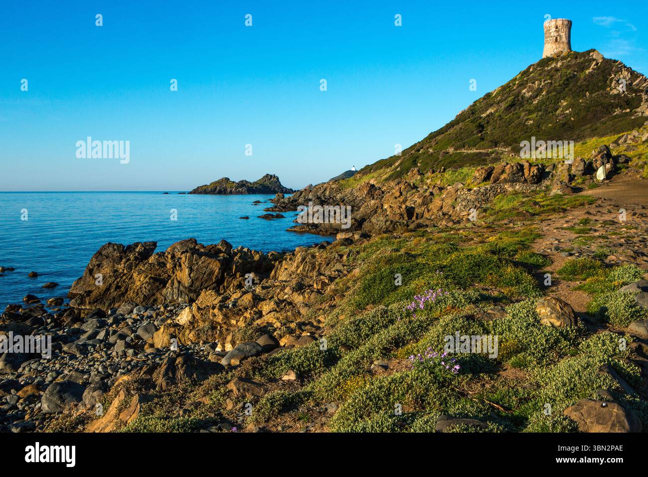 FRANKREICH. CORSE-DU-SUD (2A) AJACCIO. POINTE DE LA PARATA (GRAND SITE DE FRANCE). DER GENUESER TURM UND DIE SANGUINAIRES INSELN. GEGRÜNDET 1550 VON DER Stockfoto