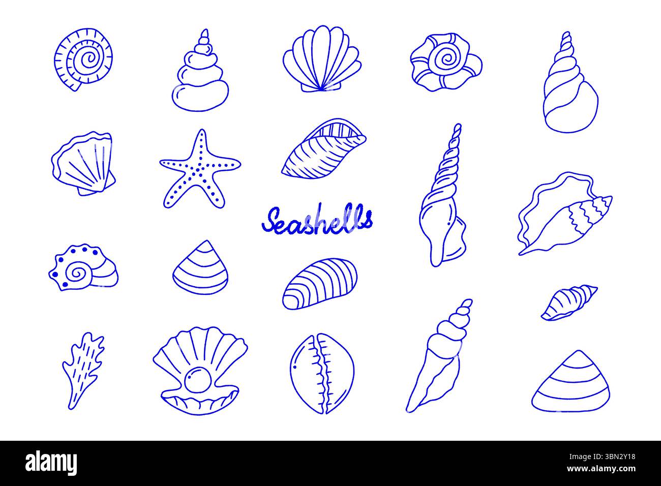 Handgezeichnete Vektor-Illustration von Muscheln und Seesternen, Muschelkollektion, Sommer Reise Marine Kit. Unterwasser-Muschelset, Doodle Outline, Li Stock Vektor
