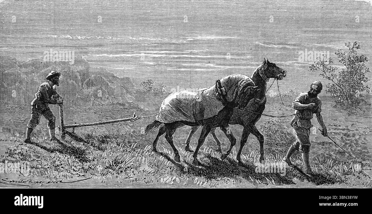 Turcoman, Turkoman oder Turkmenen pflügen oder pflügen mit Pferd Turkmenistan Zentralasien. Vintage oder historische Gravur oder Illustration 1866 Stockfoto