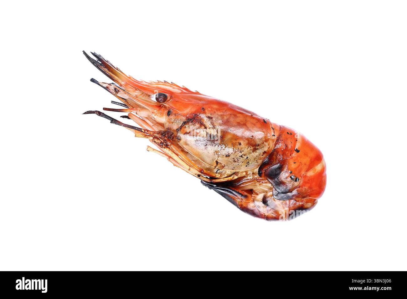 Es ist eine gegrillte Riesengarnelen, isoliert auf weiß. Stockfoto