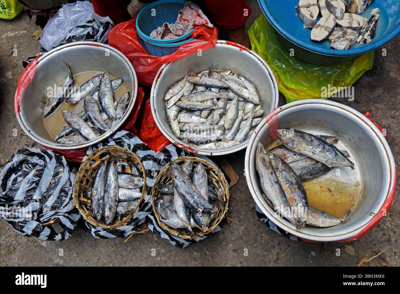 Kleine Fische auf einem traditionellen offenen Markt in den Straßen von Ubud, Bali, Indonesien Stockfoto