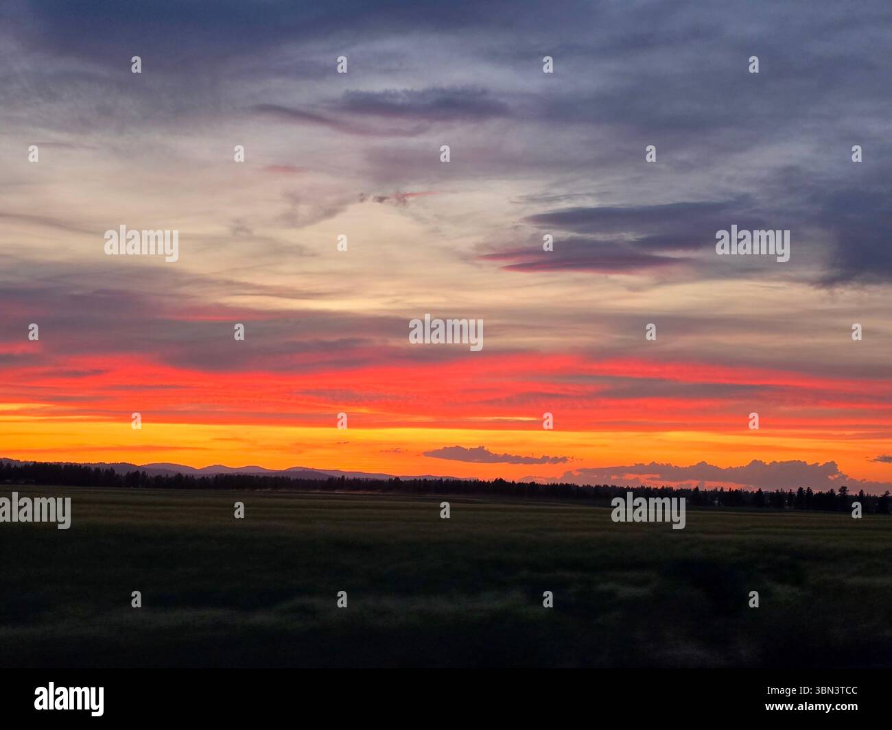 RAW-Bilder - Smartphone-aufgenommenes Stockfoto