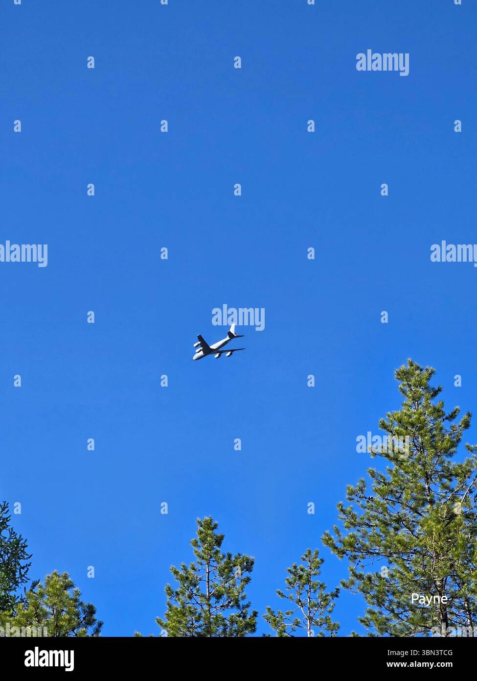 RAW-Bilder - Smartphone-aufgenommenes Stockfoto