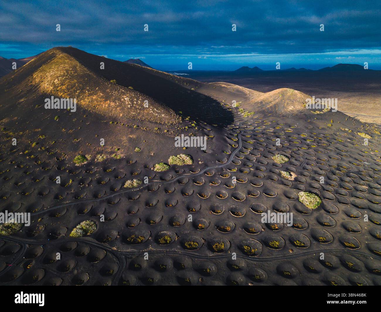 Spanien, Kanarische Inseln, Lanzarote, La Geria, Weinbau Stockfoto