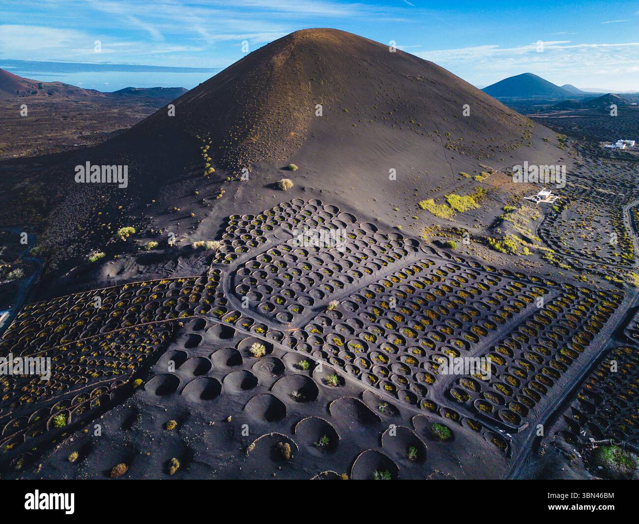 Spanien, Kanarische Inseln, Lanzarote, La Geria, Weinbau Stockfoto