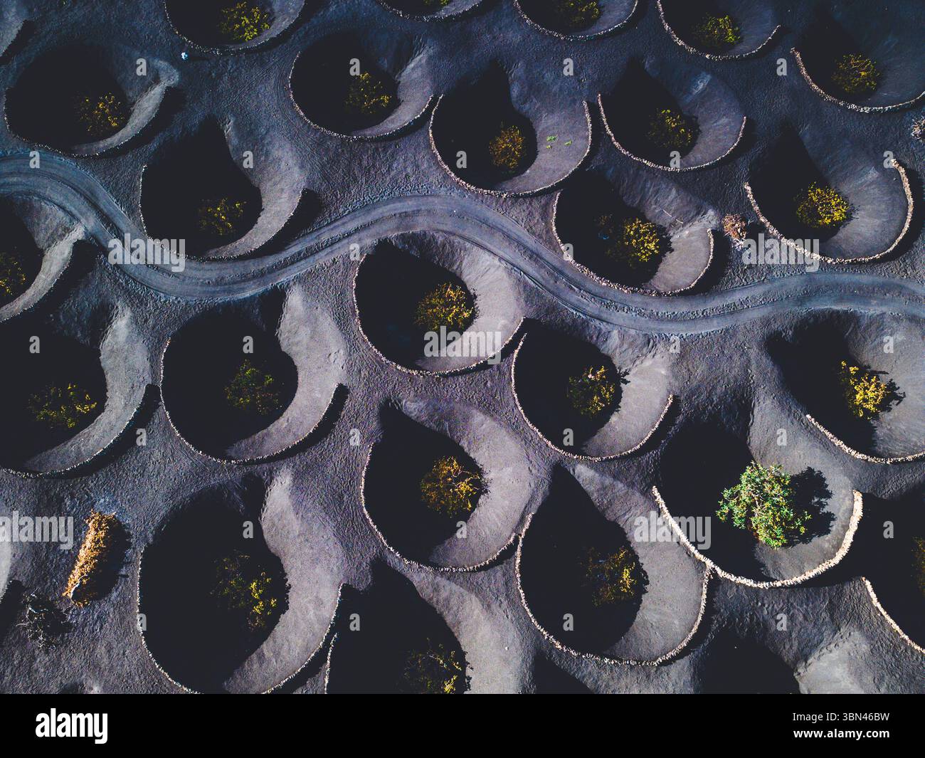 Spanien, Kanarische Inseln, Lanzarote, La Geria, Weinbau Stockfoto