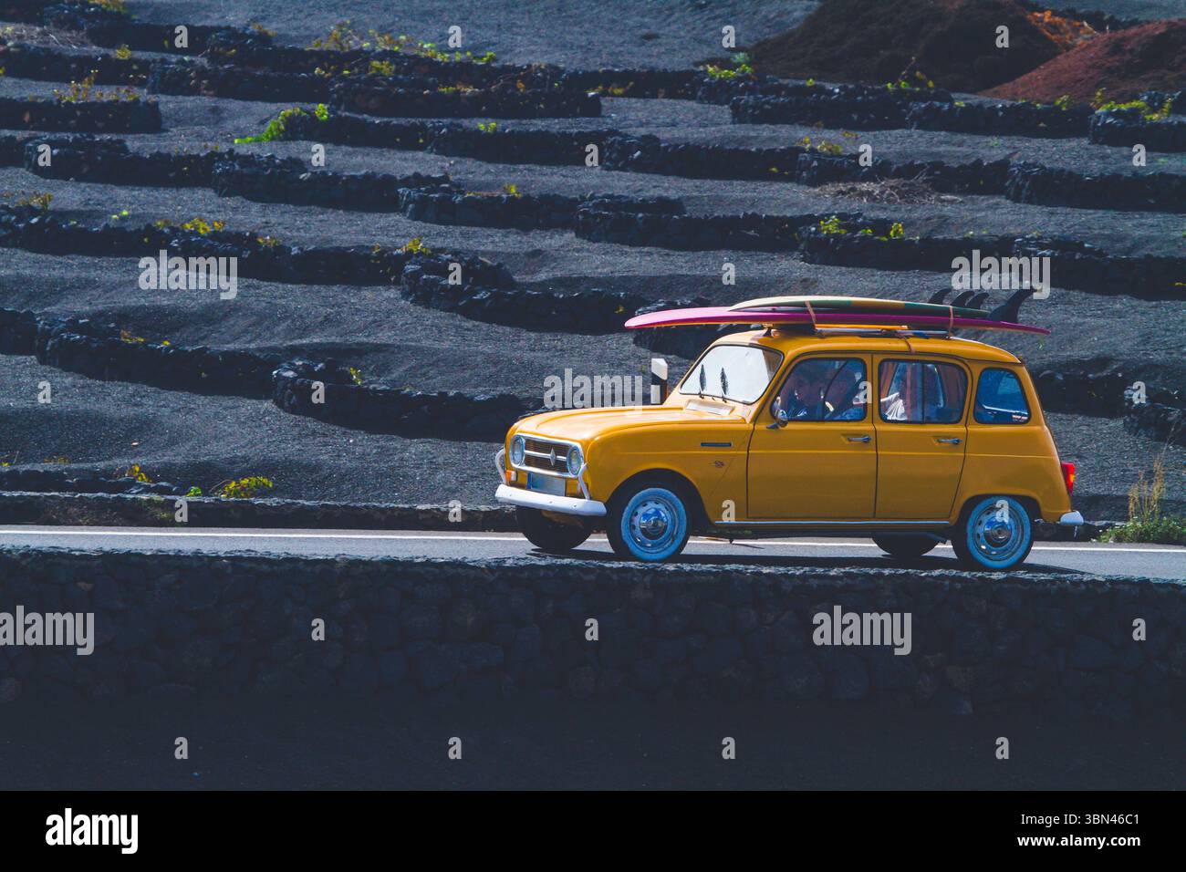 Spanien, Kanarische Inseln, Lanzarote, La Geria, Weinbau Stockfoto