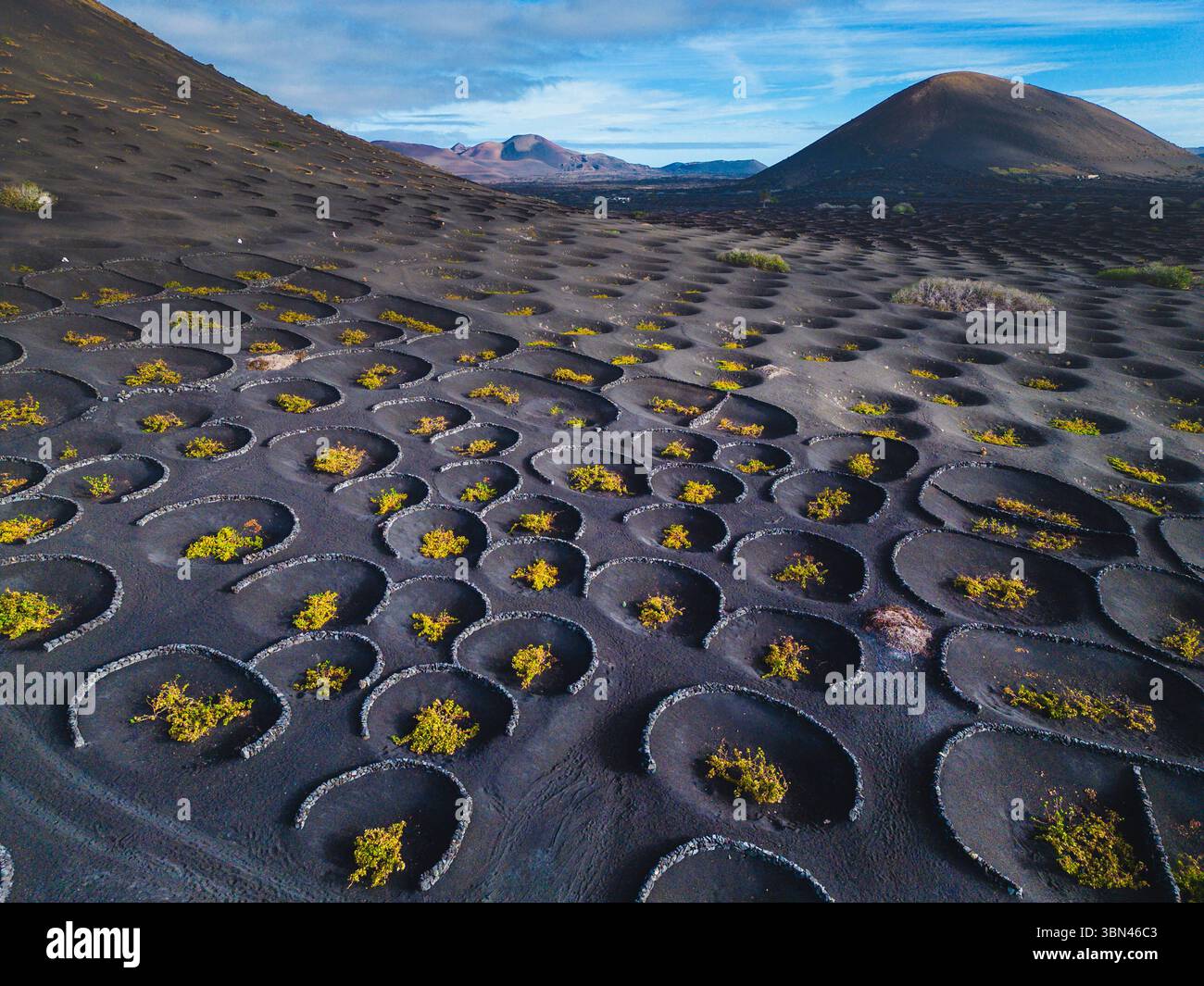 Spanien, Kanarische Inseln, Lanzarote, La Geria, Weinbau Stockfoto