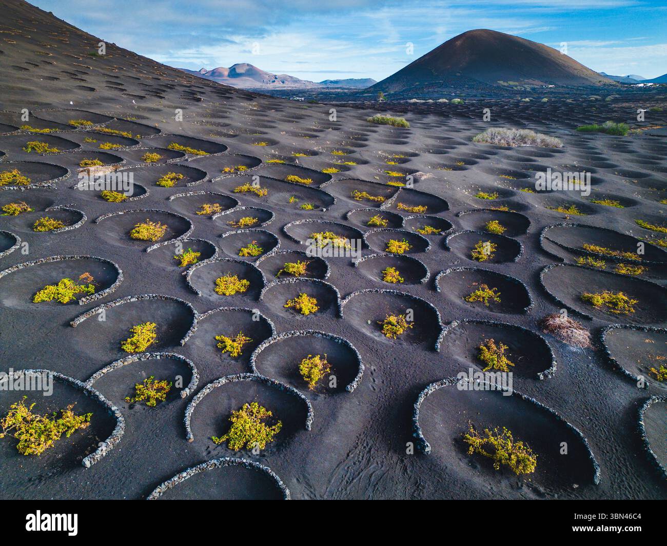 Spanien, Kanarische Inseln, Lanzarote, La Geria, Weinbau Stockfoto