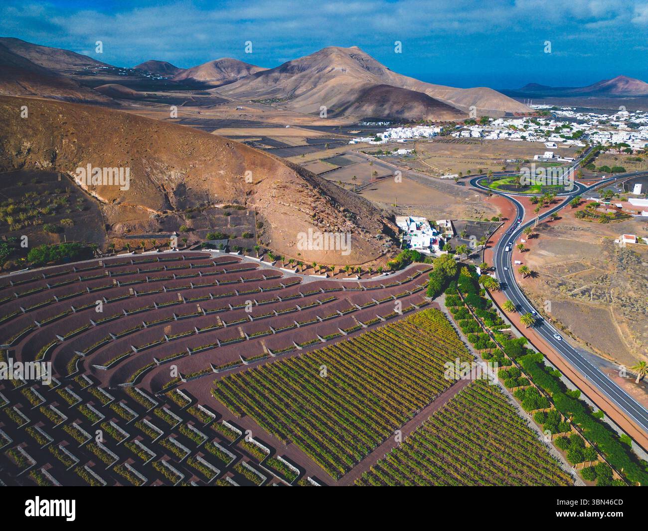 Spanien, Kanarische Inseln, Lanzarote, La Geria, Weinbau Stockfoto