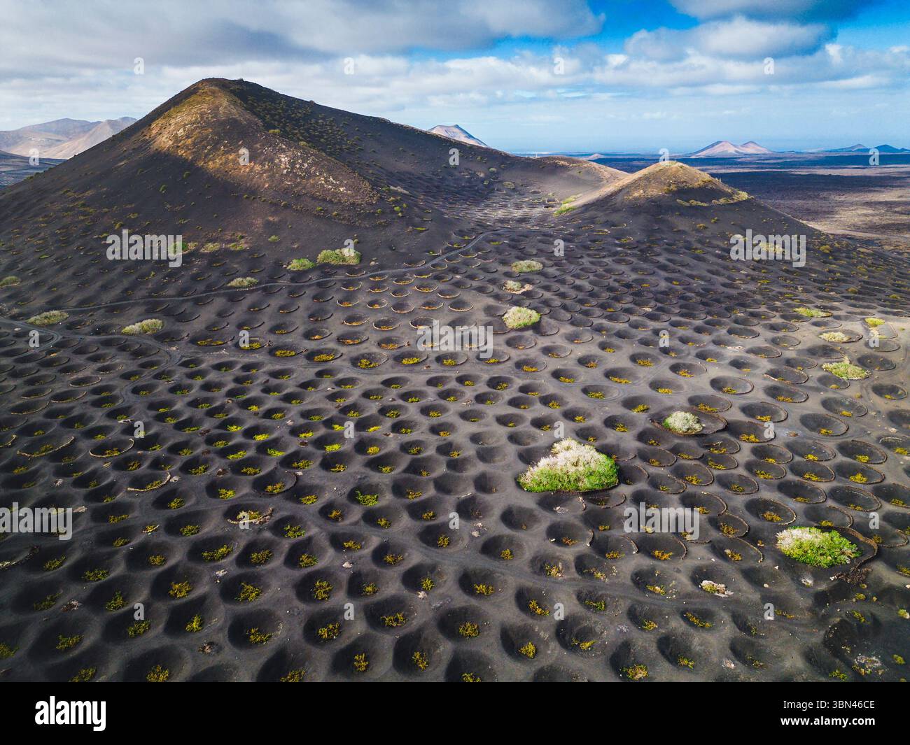 Spanien, Kanarische Inseln, Lanzarote, La Geria, Weinbau Stockfoto
