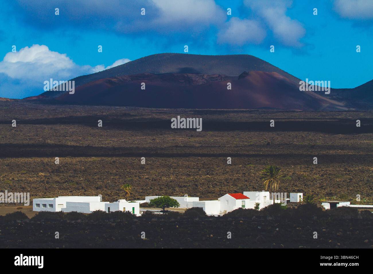 Spanien, Kanarische Inseln, Lanzarote, La Geria, Weinbau Stockfoto