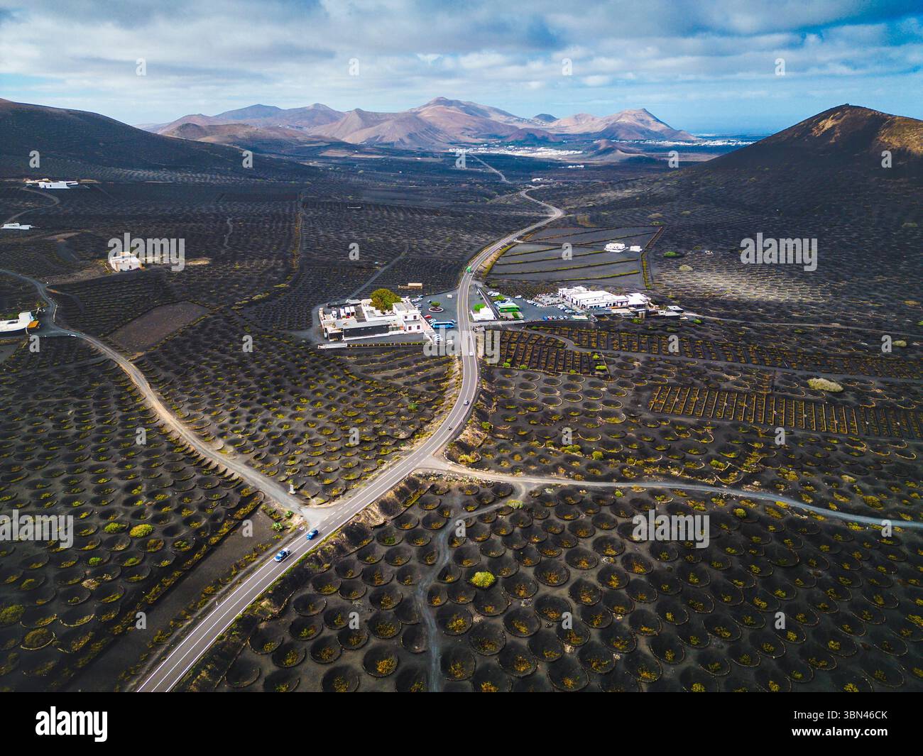 Spanien, Kanarische Inseln, Lanzarote, La Geria, Weinbau Stockfoto