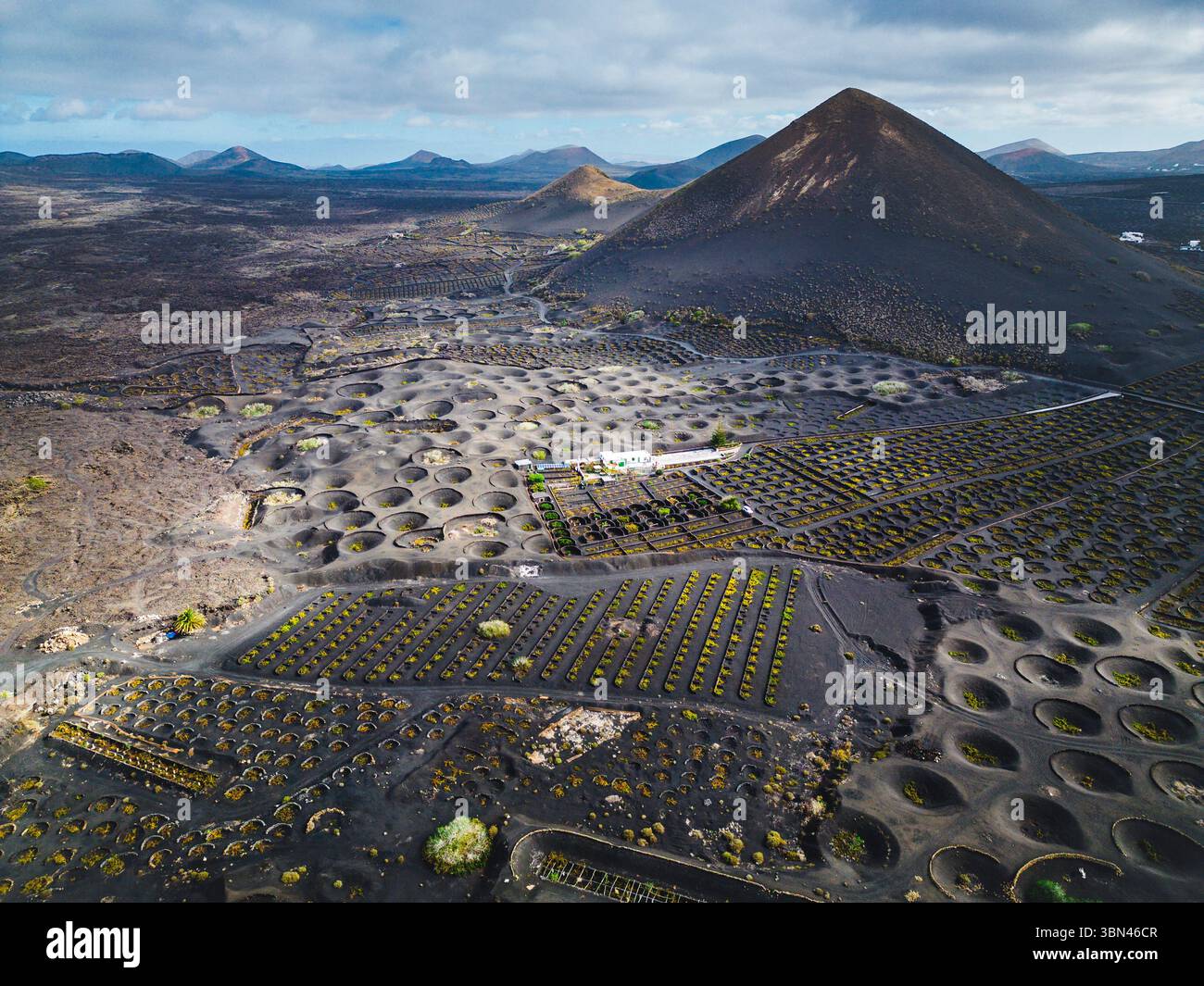 Spanien, Kanarische Inseln, Lanzarote, La Geria, Weinbau Stockfoto
