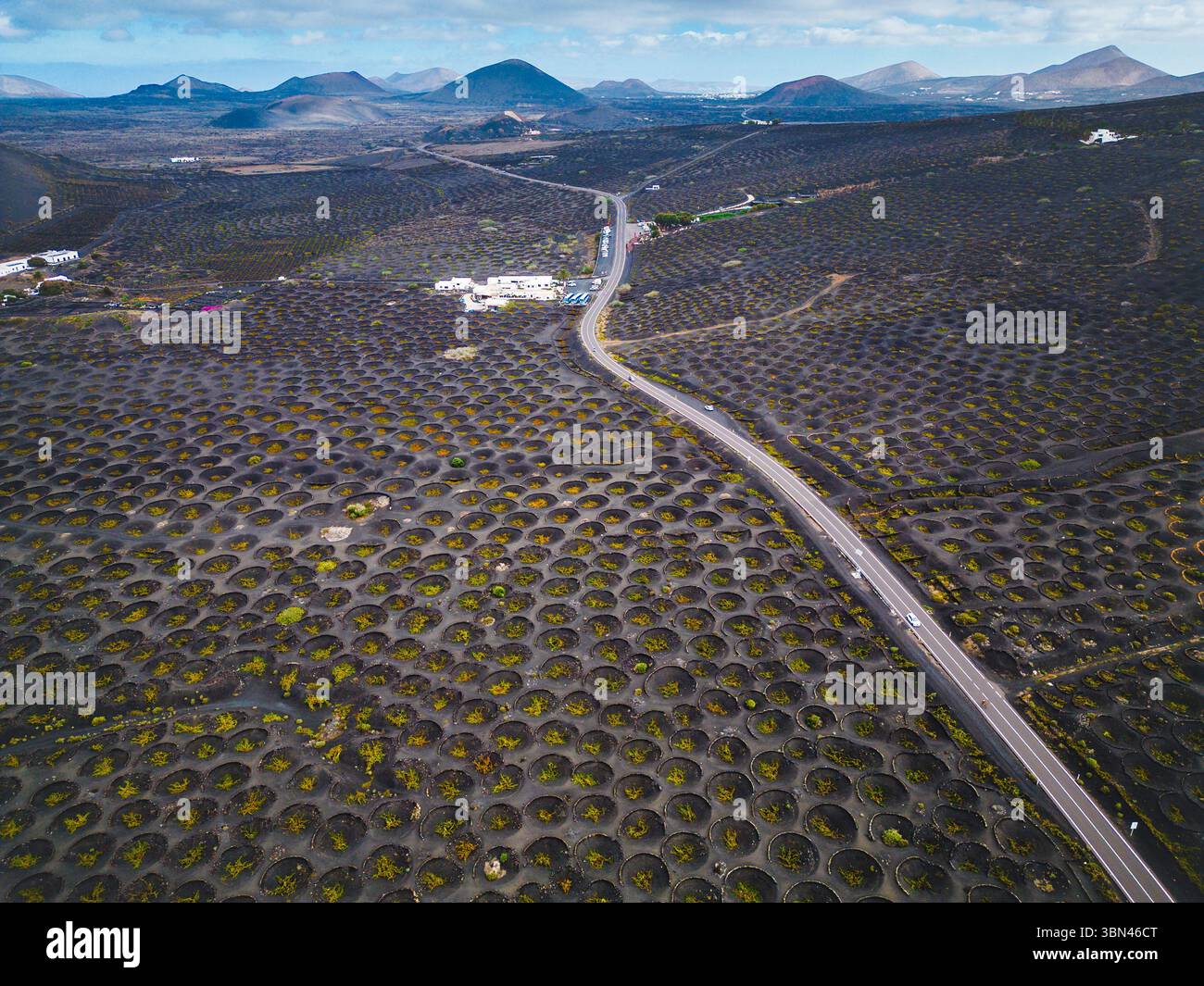 Spanien, Kanarische Inseln, Lanzarote, La Geria, Weinbau Stockfoto