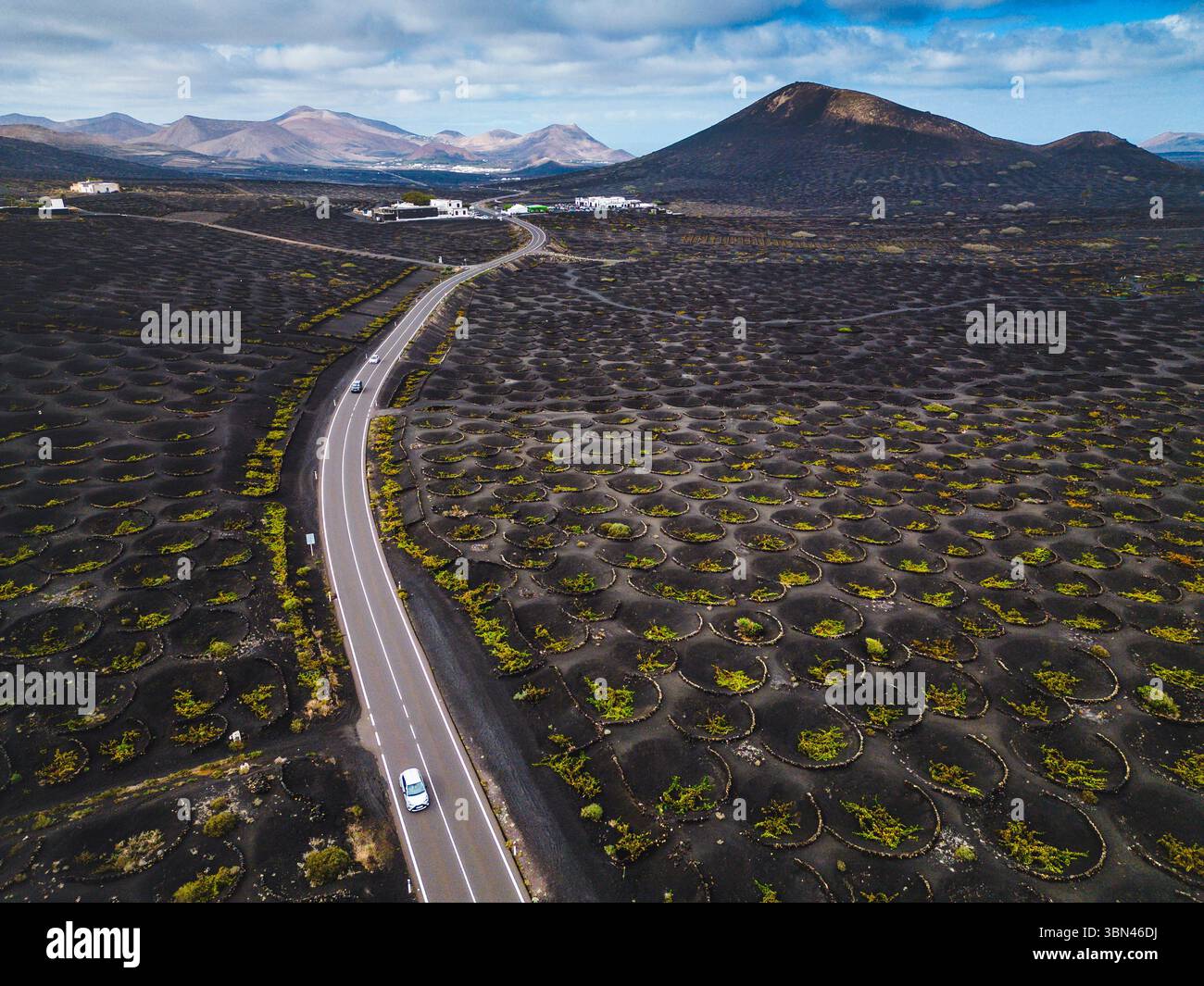 Spanien, Kanarische Inseln, Lanzarote, La Geria, Weinbau Stockfoto