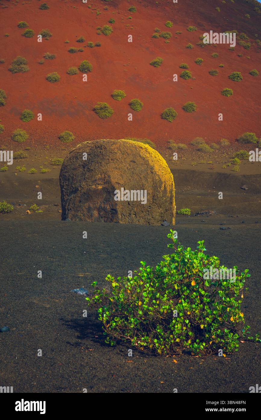 Spanien, Kanarische Inseln, Lanzarote, Timanfaya Park. Caldera Colorada. Im Vordergrund die Vulkanbombe. Stockfoto