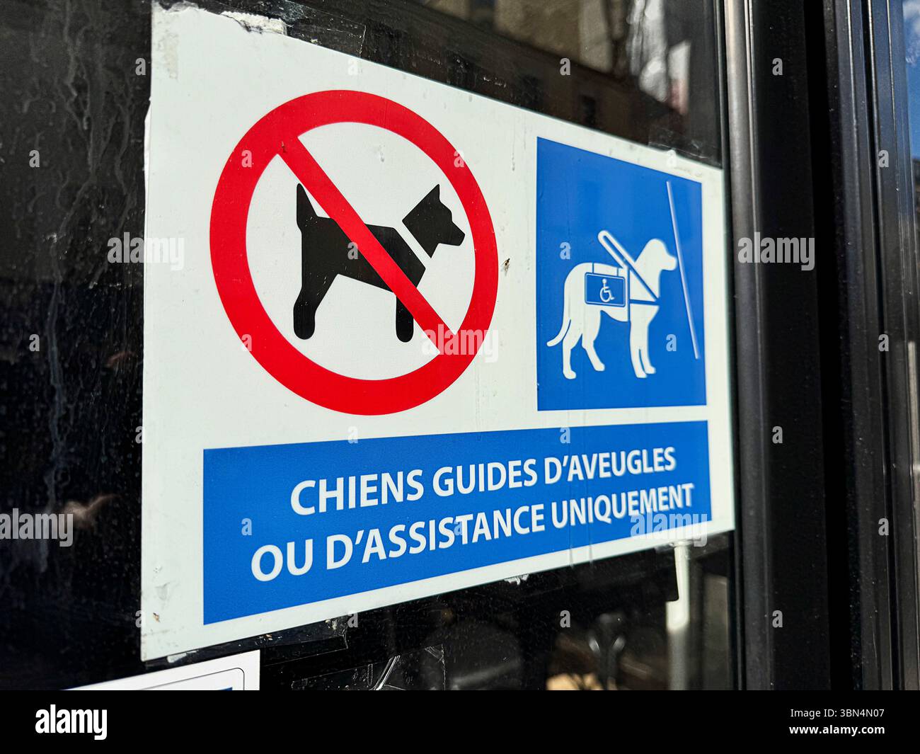 Schild an der Tür eines Unternehmens, das anzeigt, dass Hunde verboten sind. Aber keine Blindenhunde. Stockfoto