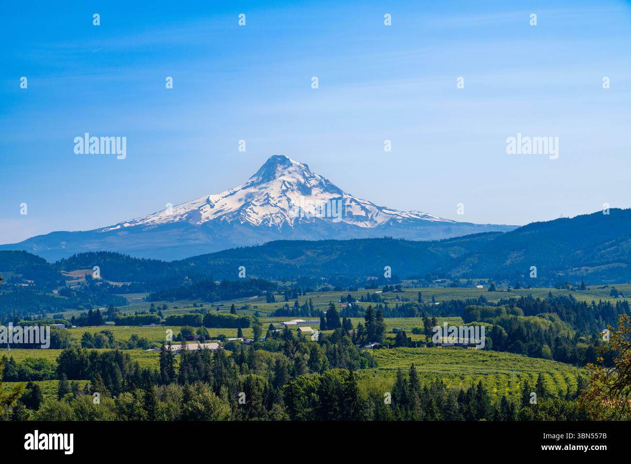 Mount Hood, Oregon, vom Hood River Valley aus gesehen, berühmt für seine Obstgärten, Weinberge und malerischen Ausblicke Stockfoto