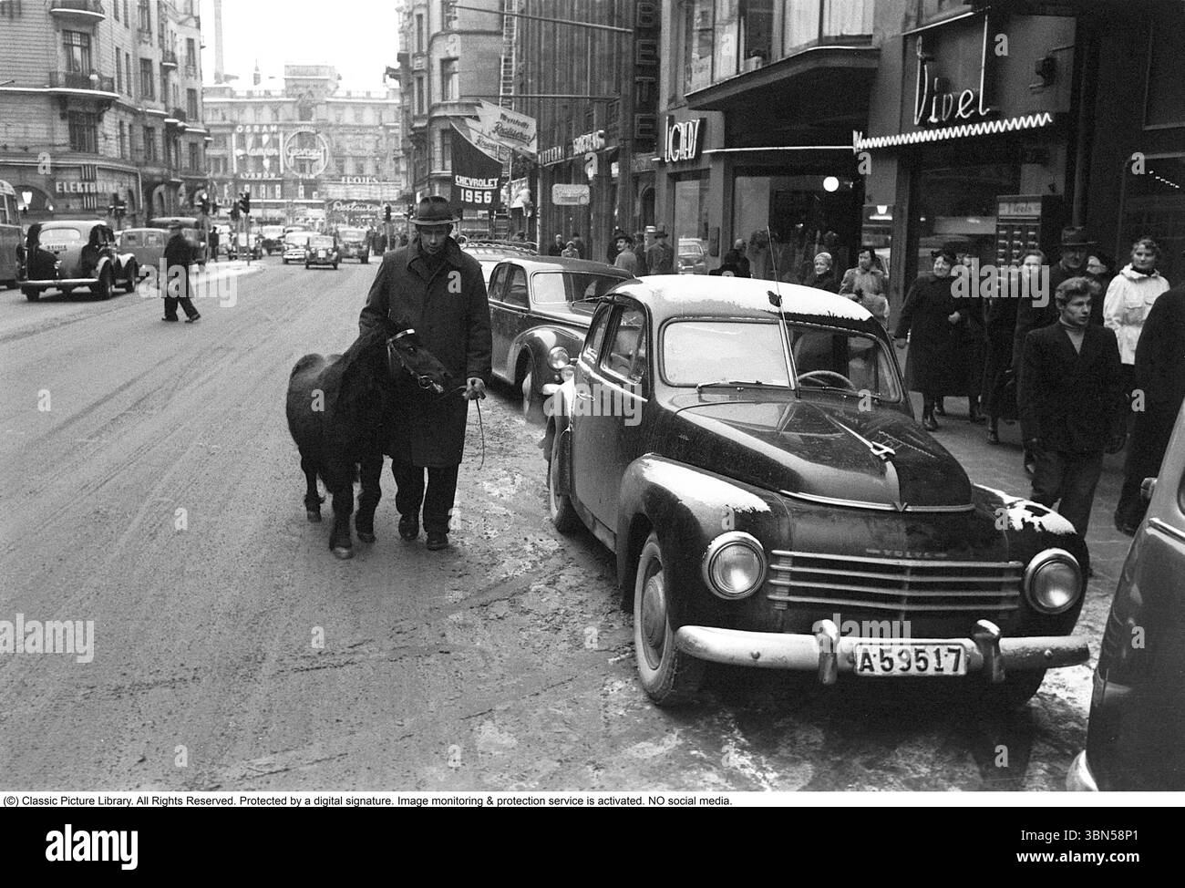 Das kleine Pferd in der Straße 1953. Ein Mann führt ein kleines Pferd auf der belebten Straße Kungsgatan im Zentrum Stockholms Ein Volvo PV 444 wird auf der Straße geparkt. Im Hintergrund Stureplan mit seiner Fassade mit Neonschildern, war dann der teuerste Ort, um eine Werbung zu platzieren. Stockfoto