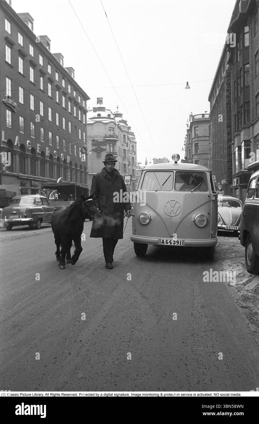 Das kleine Pferd in der Straße 1953. Ein Mann führt ein kleines Pferd auf der belebten Straße Kungsgatan im Zentrum Stockholms. Er fährt an einem parkenden Volkswagen-Minibus vom Typ 2 vorbei. Stockfoto