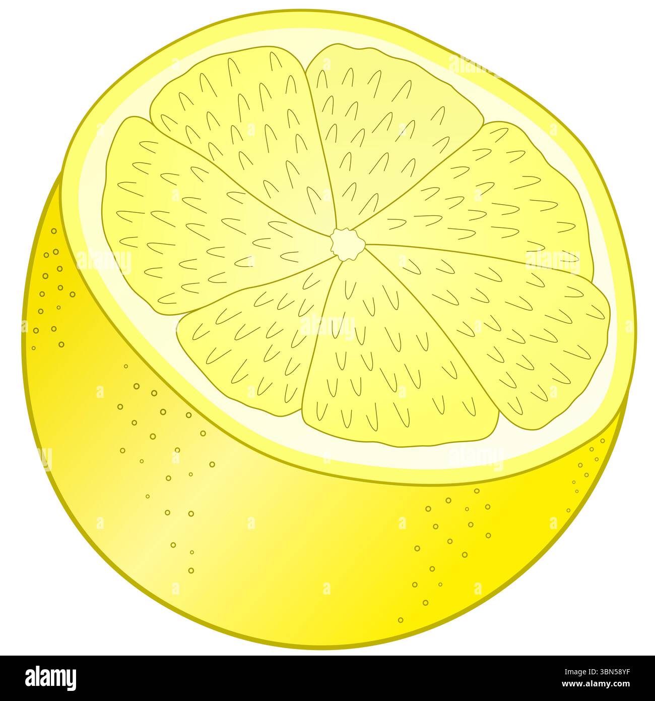 Symbolische Darstellung einer halben gelben Zitrone mit Schale Stockfoto