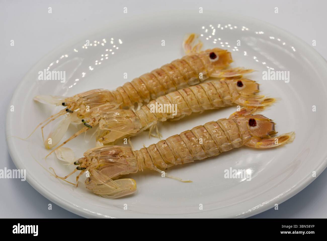 Rohe Mantis Shrimps oder Squilla Mantis auf weißer Platte Nahaufnahme. Stockfoto